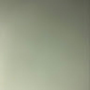 Meet your Posher, Mays